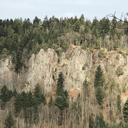 Ferienwohnungen Beilerstädtle Oppenau Exterior foto