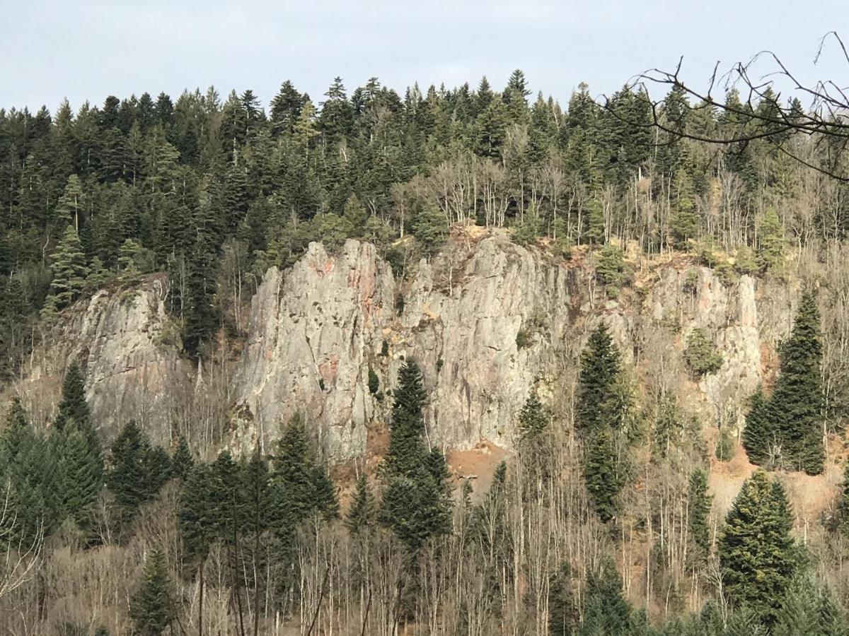 Ferienwohnungen Beilerstädtle Oppenau Exterior foto